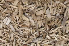 biomass boilers Cory